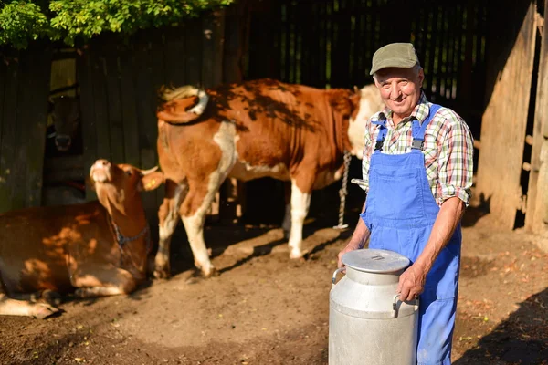 L'agricoltore lavora nell'azienda biologica con mucche da latte — Foto Stock