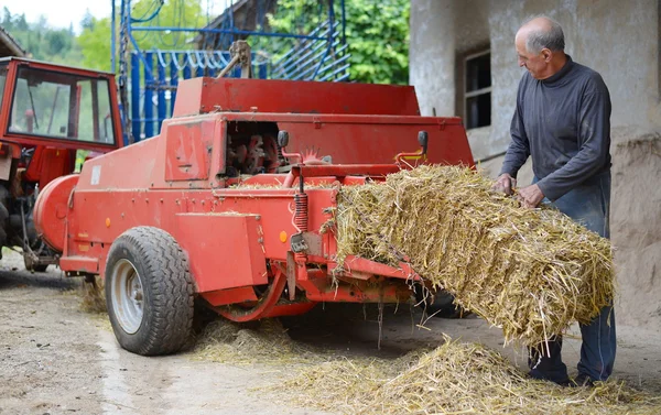Granjero ecológico haciendo / apilar fardos para alimentar al ganado — Foto de Stock