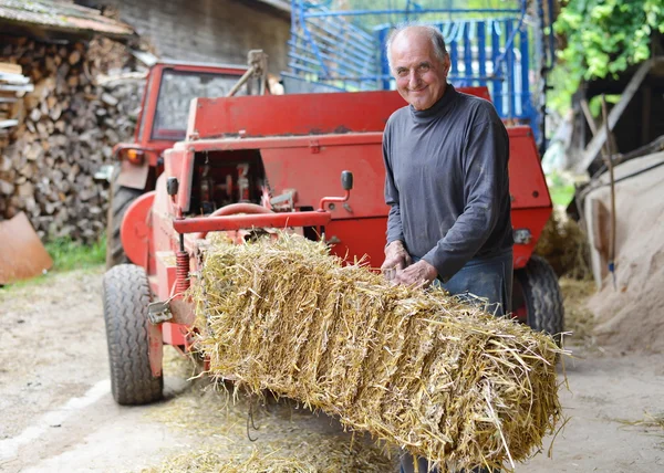 Produtor biológico que faz / empilha fardos para alimentar o gado — Fotografia de Stock