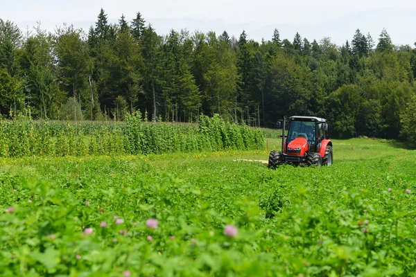 Agricultor orgánico en campo de trébol de siega tractor — Foto de Stock