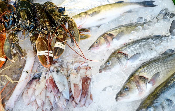 Seafood on ice at the fish market — Stock Photo, Image