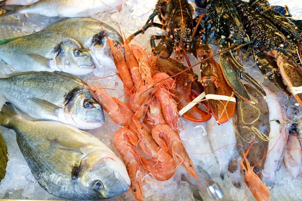 Seafood on ice — Stock Photo, Image