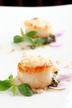 Tay fesleğen ile Midye kabukları