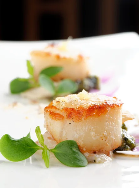 Scallops shells with thai basil — Stock Photo, Image