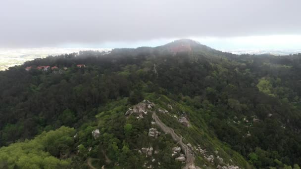 Flygfoto Över Serra Sintra Med Pena Palatset Och Moriska Slottet — Stockvideo