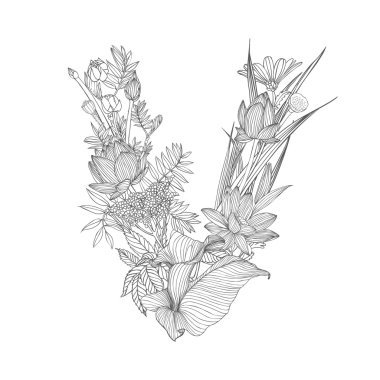 Doğrusal siyah beyaz çiçekli alfabe üzerinde. Harf V