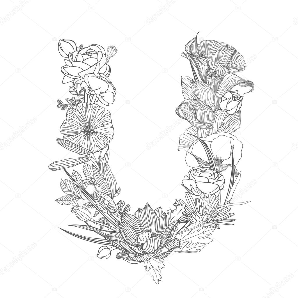 U, Flower Alphabet Isolated On White With Clipping Path Stock Photo,  Picture and Royalty Free Image. Image 11854412.