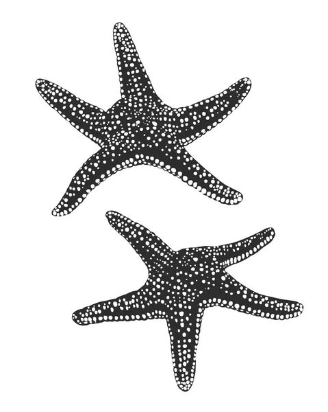 Spotted starfish (sea stars) — Stock Vector