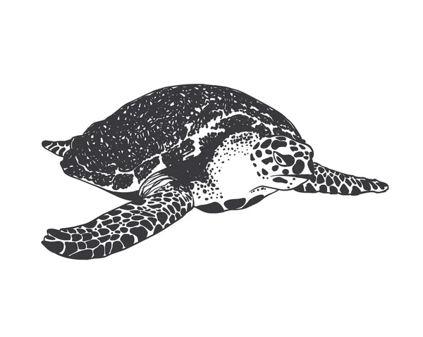 Μεγάλα θαλάσσια χελώνα. Μαύρο πάνω σε άσπρο — Διανυσματικό Αρχείο