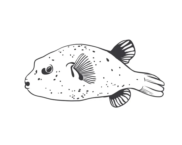 Риба куля Tetradon. Чорний на білому — стоковий вектор
