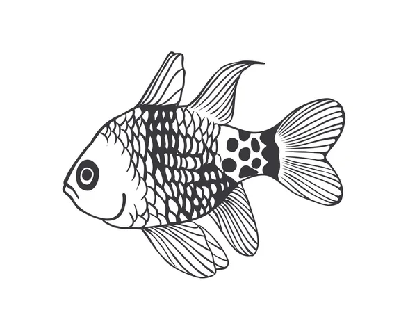 Чорний на білій тропічній рибі — стоковий вектор