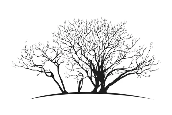 Sprida träd silhuette — Stock vektor