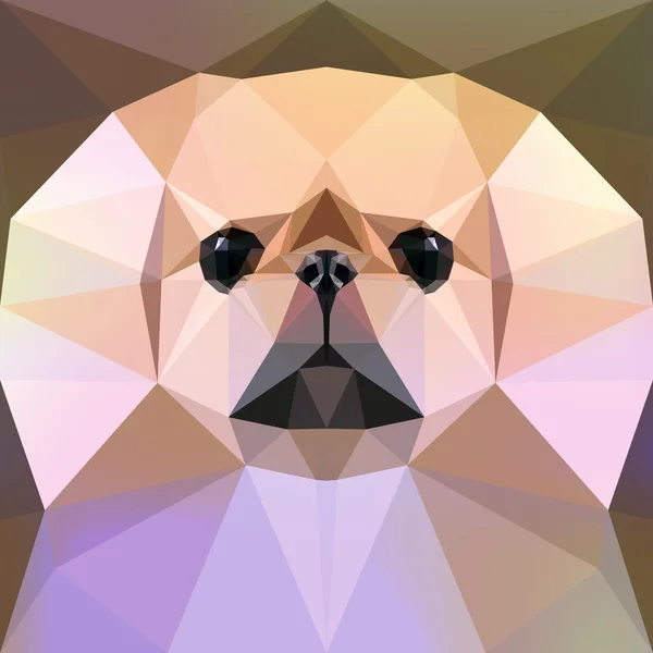 Gezicht van een Pekingese Honden. Vectorillustratie. — Stockvector