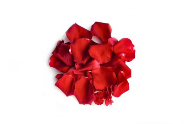 Japon bayrağı. Beyaz arka plan üzerinde kırmızı gül yaprakları daire