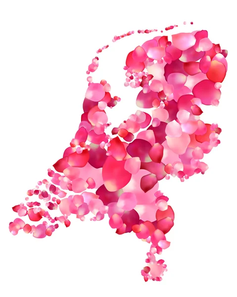 Holanda. Silhueta da Holanda mapa de pétalas de rosa — Vetor de Stock