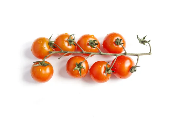 Rama de tomates cherry sobre un fondo blanco —  Fotos de Stock