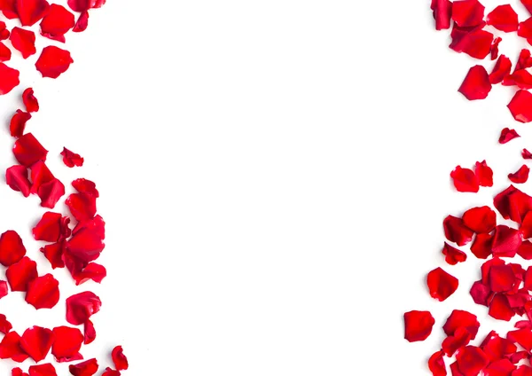 Romantischer Hintergrund aus roten Rosenblättern — Stockfoto