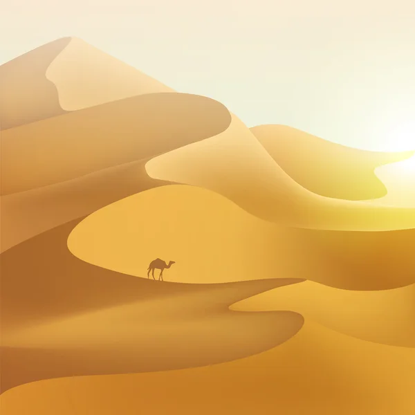 Desierto dunas paisaje . — Vector de stock