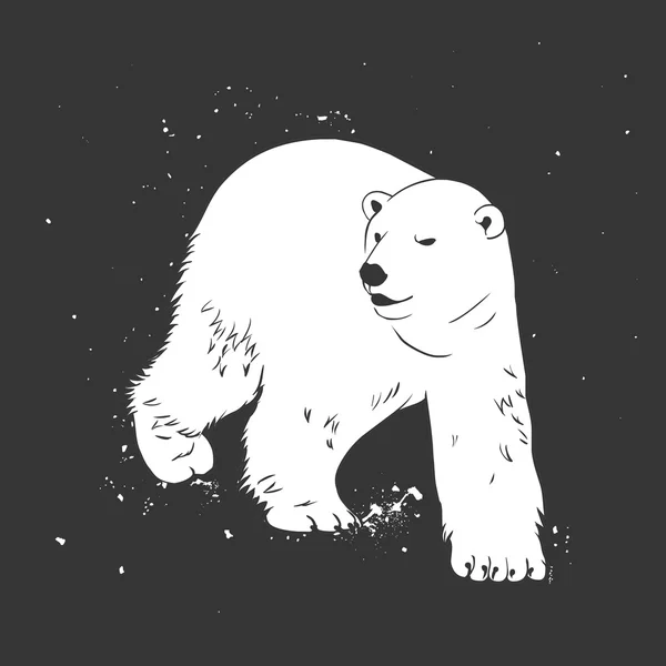 Fehér jegesmedve — Stock Vector