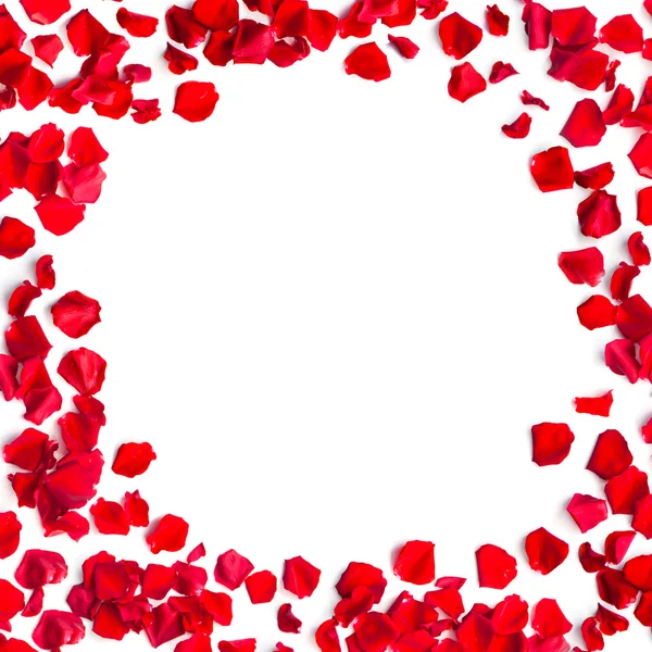 Romantic red rose petals frame on white background — Stock Photo, Image