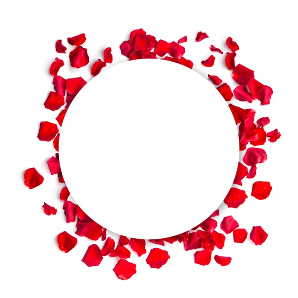 Romantyczne czerwony płatków róży koło tło — Zdjęcie stockowe