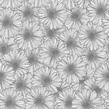 Doğrusal seamless modeli - papatya çiçeği