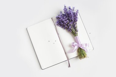 Lavanta çiçek arka plan