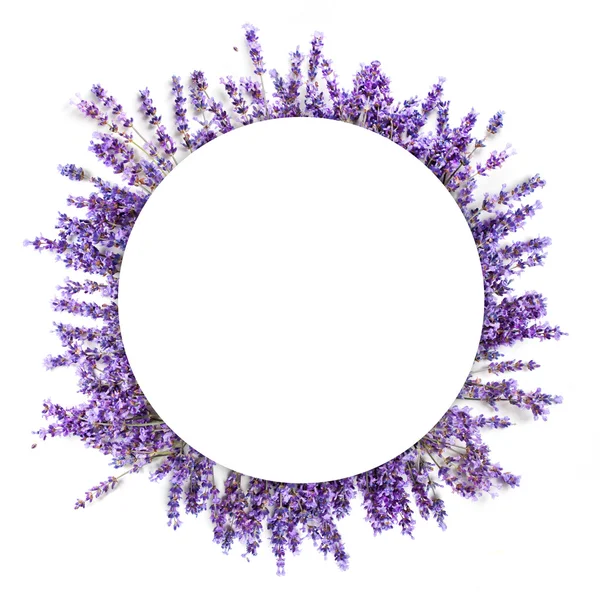 Lavendula circle frame on white background — Stock Photo, Image