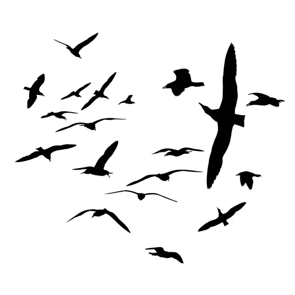 Negro sobre siluetas blancas. Manada de aves gaviotas marinas . — Vector de stock