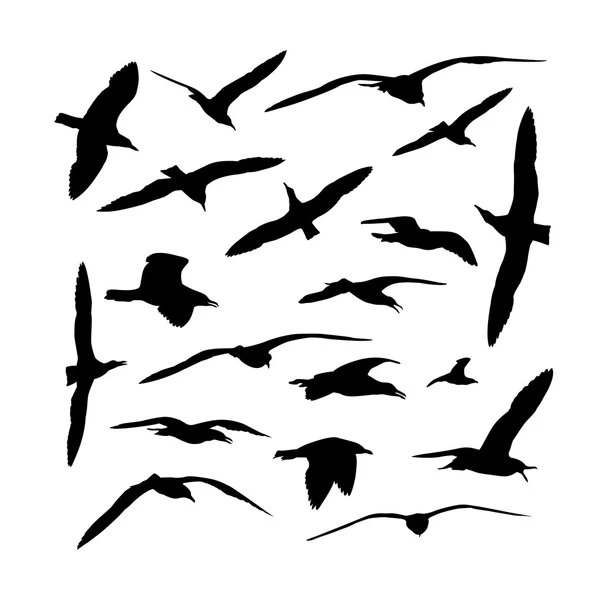 Collection de silhouettes d'oiseaux goélands marins — Image vectorielle