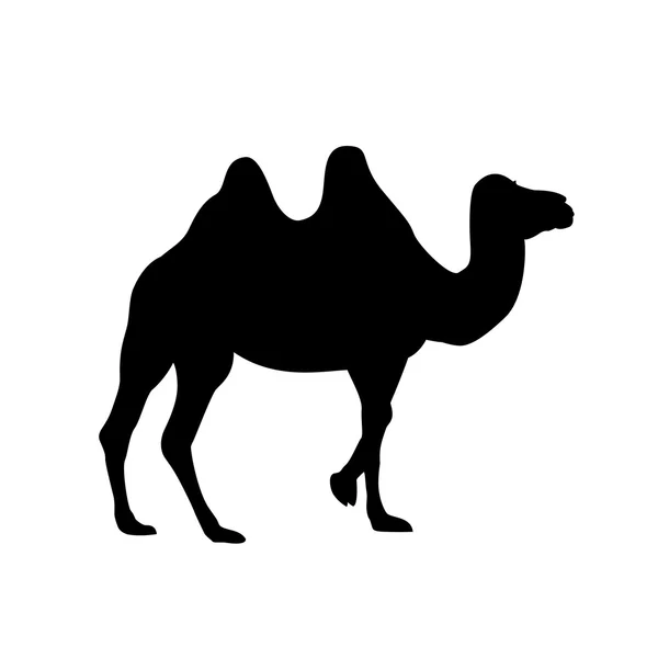 Sílhueta de camelo bactriano — Vetor de Stock