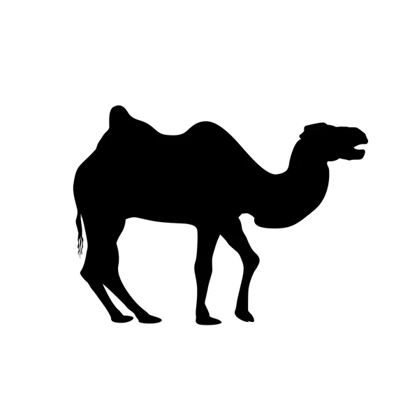 Sílhueta de camelo bactriano — Vetor de Stock