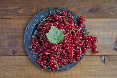 Ahşap arka plan üzerinde kuş üzümü ile plaka