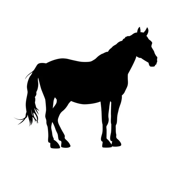 Silhueta de cavalo de vetor — Vetor de Stock