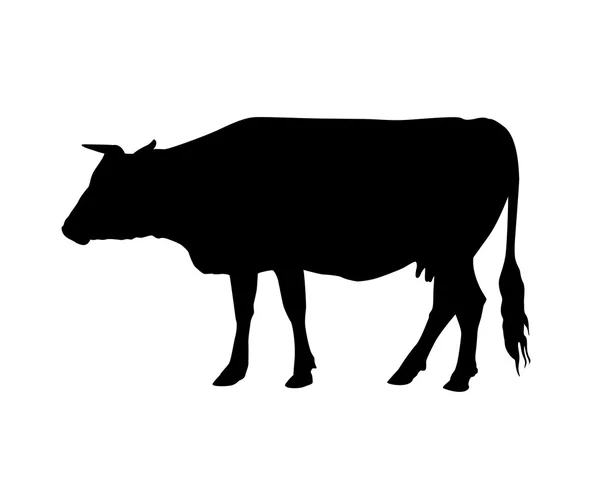 Silueta de vaca negro sobre blanco — Vector de stock