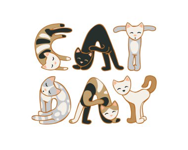 Kedi gün. 8 Ağustos tatil. Yazıt kedi