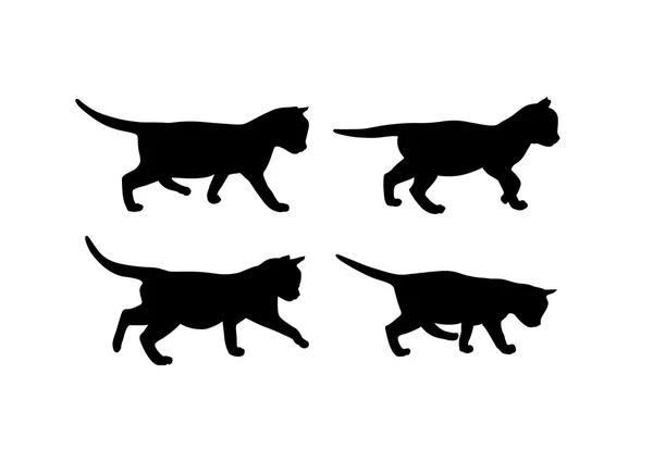 小猫矢量轮廓合集 — 图库矢量图片