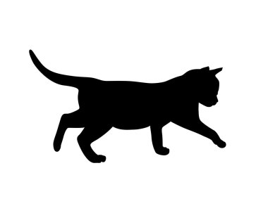 Yavru kedi siluet. Vektör çizim