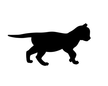 Yavru kedi siluet. Vektör çizim