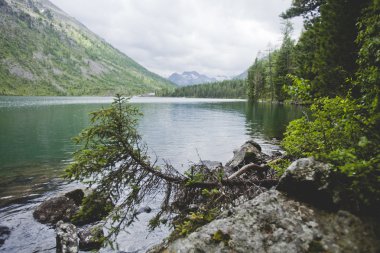 Multinskiye Gölü, Altay Dağları