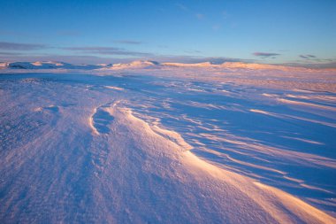 Kar çölü. Kola Yarımadası Kış sabahı manzarası