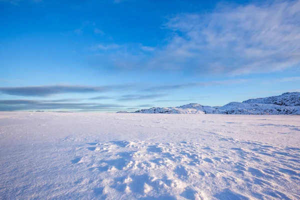 Deserto Neve Penisola Kola Inverno Giornata Sole Paesaggio — Foto Stock