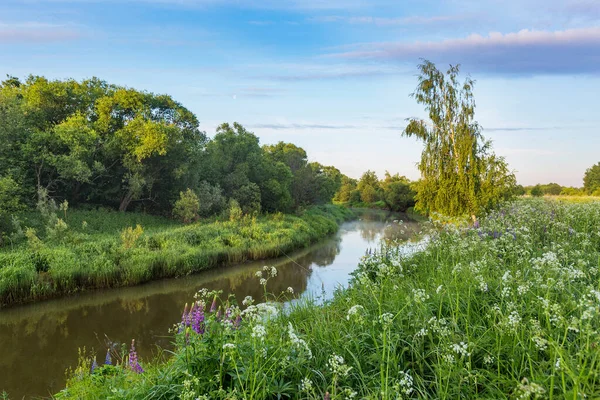 Řeka Kirzhach Regionu Vladimir Ruská Letní Krajina — Stock fotografie