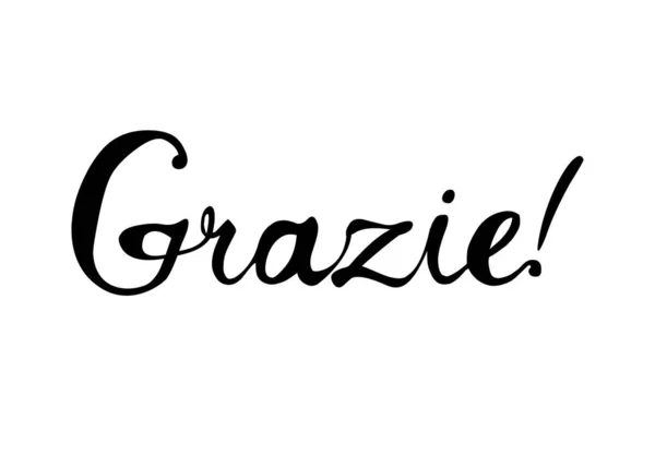 Inscription en italien : Merci - grazie. — Image vectorielle