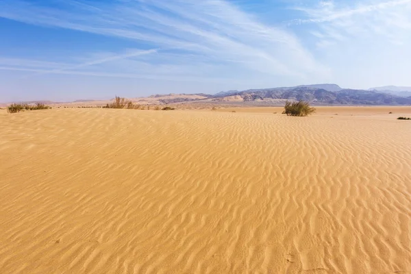 Piaszczysta Wydma Pustyni Wadi Araba Krajobraz Jordanii — Zdjęcie stockowe