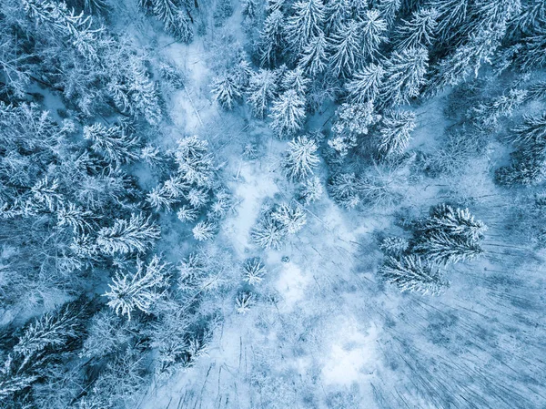 森林里的雪莫斯科地区 俄罗斯的风景空中景观 — 图库照片
