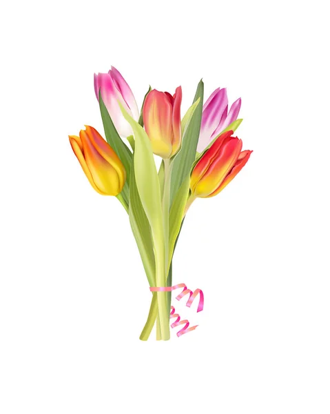 Tulipán Flores Sobre Fondo Blanco — Vector de stock