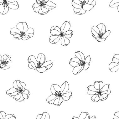 Çiçek açan elma ağacının kusursuz deseni