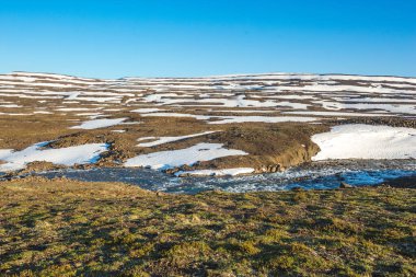 Putorana Platosu 'ndaki nehir. Rusya doğası, Krasnoyarsk bölgesi, Taimyr manzarası