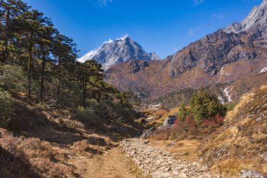 Kumjung 'a kadar. Khumbu Yul Lha Dağı. Himalayalar, Nepal